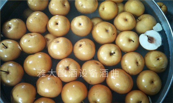 雅大釀酒設(shè)備 雅大酒業(yè) 水果酒曲 純糧釀酒設(shè)備 雅大釀酒設(shè)備 雅大酒業(yè) 水果酒曲 純糧釀酒設(shè)備