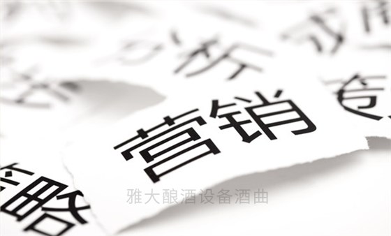 營銷策略 營銷策略