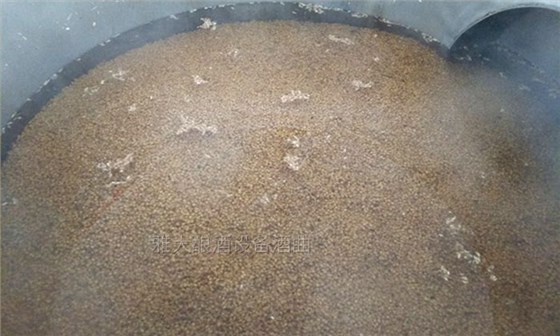 「釀酒教學(xué)」7步教您用專業(yè)釀酒設(shè)備做固態(tài)小麥酒，純實(shí)操！-02-小麥-泡糧