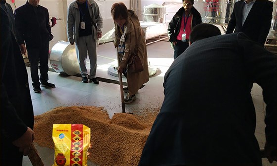「釀酒教學(xué)」7步教您用專業(yè)釀酒設(shè)備做固態(tài)小麥酒，純實(shí)操！-04-小麥釀酒加入雅大高產(chǎn)酒曲