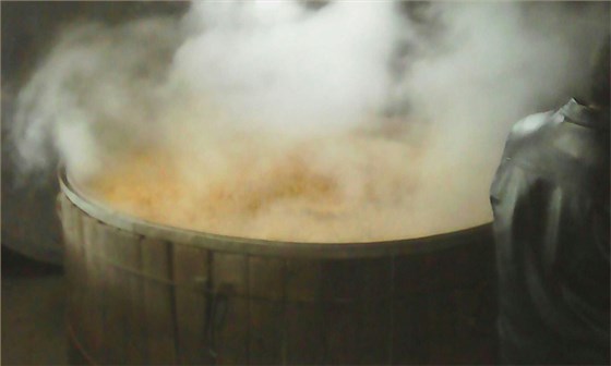 玉米蒸糧 玉米蒸糧