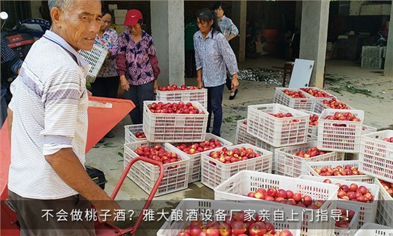 水果保質(zhì)時間太短 水果保質(zhì)時間太短