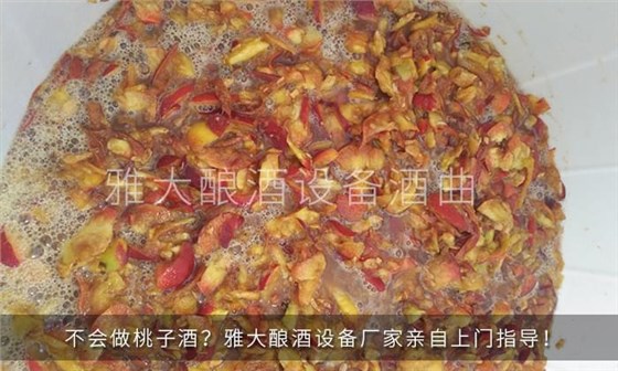 28-不會(huì)做桃子酒？雅大釀酒設(shè)備廠家親自上門指導(dǎo)！2