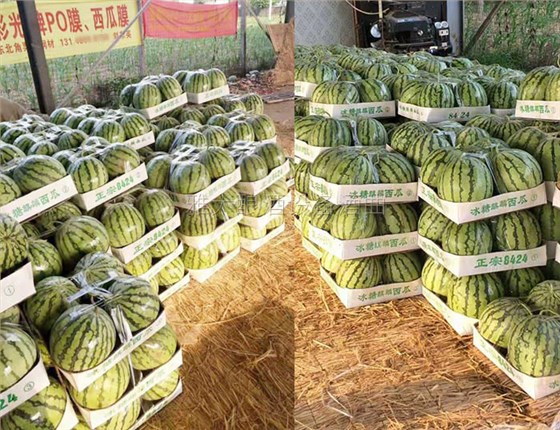 充分利用資源變廢為寶 充分利用資源變廢為寶