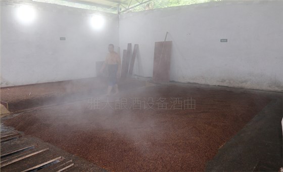 糯高粱釀酒技術(shù)交流 糯高粱釀酒技術(shù)交流