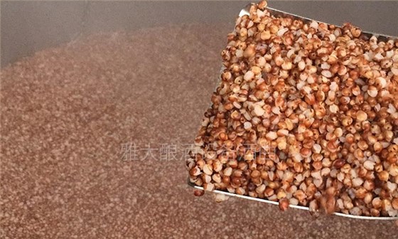 30-高粱蒸糧開花