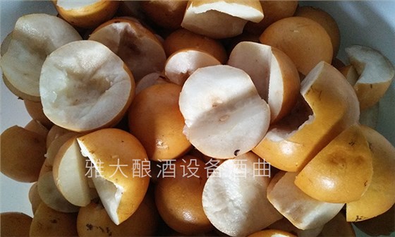 6-幾張圖帶您親臨雅大釀酒設(shè)備梨子酒實操教學現(xiàn)場-梨子釀酒方法2 6-幾張圖帶您親臨雅大釀酒設(shè)備梨子酒實操教學現(xiàn)場-梨子釀酒方法2