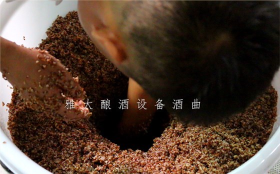 9.12特色酒研發(fā)大米酒我見過但用雅大釀酒設備釀五色米酒你見過嗎8 9.12特色酒研發(fā)大米酒我見過但用雅大釀酒設備釀五色米酒你見過嗎8