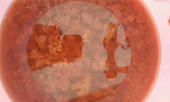用白酒蒸餾設(shè)備做李子酒的標(biāo)準(zhǔn)教程被公布，趕緊去看看吧！ 9