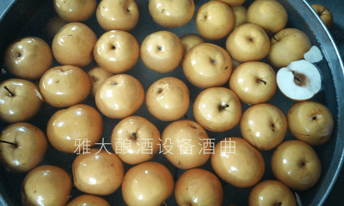 雅大釀酒設(shè)備 雅大酒業(yè) 水果酒曲 純糧釀酒設(shè)備 雅大釀酒設(shè)備 雅大酒業(yè) 水果酒曲 純糧釀酒設(shè)備