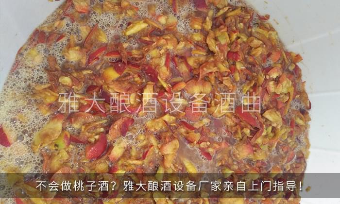 28-不會做桃子酒？雅大釀酒設(shè)備廠家親自上門指導(dǎo)！2