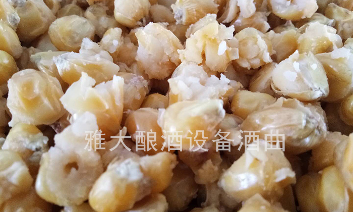 27-白酒釀酒設(shè)備 蒸酒時(shí)避免開大花 27-白酒釀酒設(shè)備 蒸酒時(shí)避免開大花