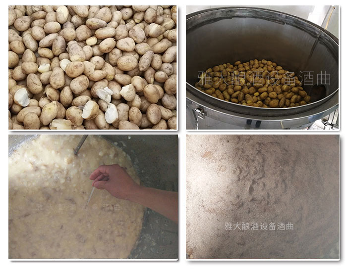 雅大科技釀酒實(shí)操-土豆酒 雅大科技釀酒實(shí)操-土豆酒