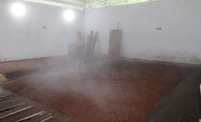 糯高粱釀酒技術(shù)交流 糯高粱釀酒技術(shù)交流