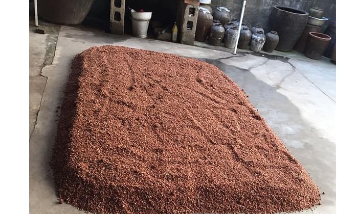農(nóng)村小型燒酒設(shè)備小作坊釀造高粱酒工藝流程-高粱糖化 農(nóng)村小型燒酒設(shè)備小作坊釀造高粱酒工藝流程-高粱糖化