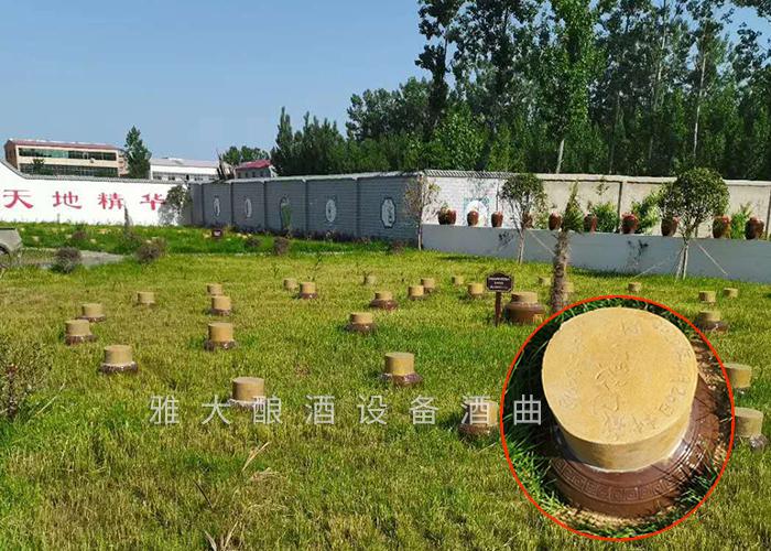 開(kāi)啟“種酒”全新白酒營(yíng)銷模式，打造小型酒廠釀酒設(shè)備特色純糧窖藏酒坊！ 7