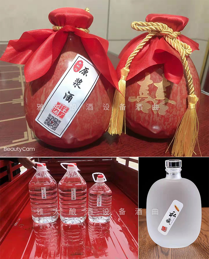 12.18致富新模式，用烤酒設(shè)備蒸酒后的酒糟飼養(yǎng)肉牛成本低，效益高-瓶裝酒