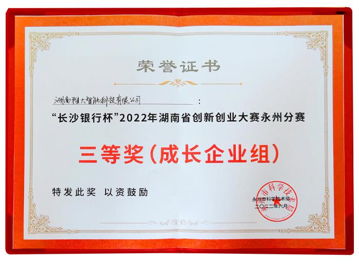 喜報(bào)！雅大榮獲湖南省創(chuàng)新創(chuàng)業(yè)大賽永州分賽三等獎(jiǎng)4