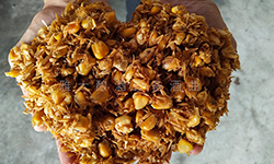 您知道嗎？固態(tài)酒醅含水量直接影響白酒品質(zhì)和出酒率